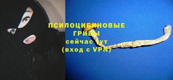 хмурый Балабаново