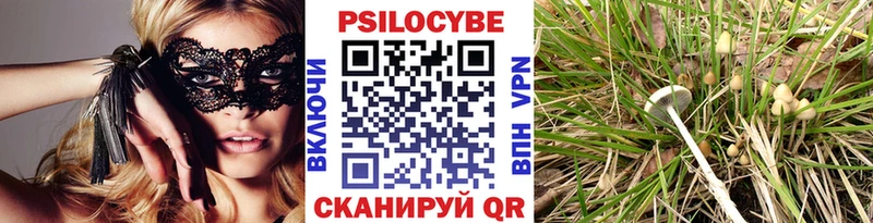 дарк нет как зайти  Белоозёрский  Псилоцибиновые грибы ЛСД  закладки 